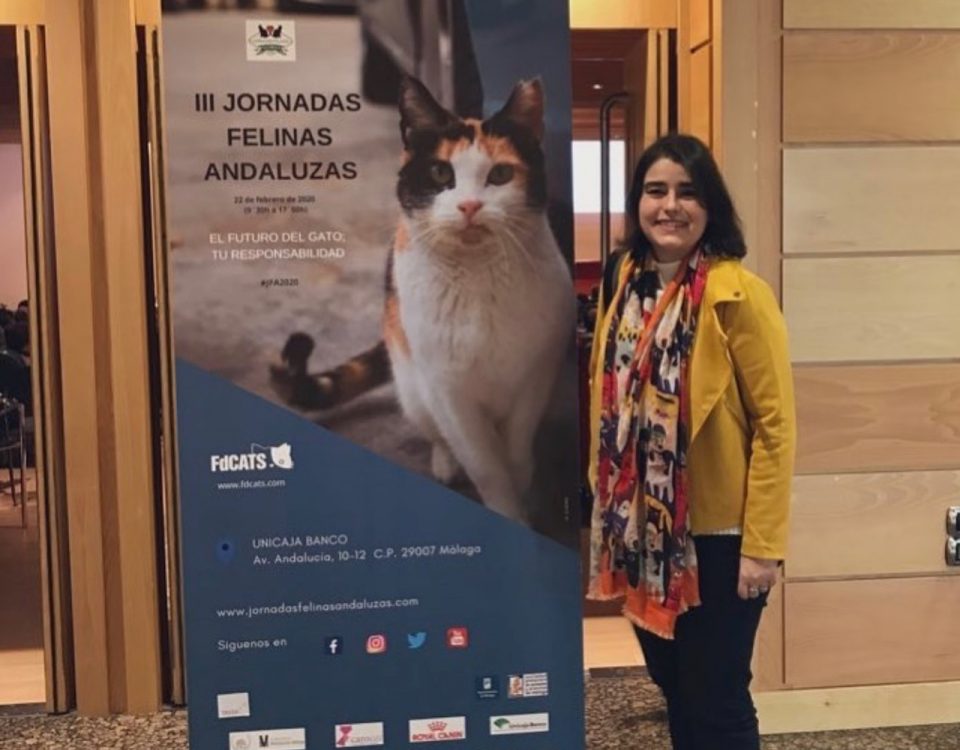 III Jornadas Felinas Andaluzas